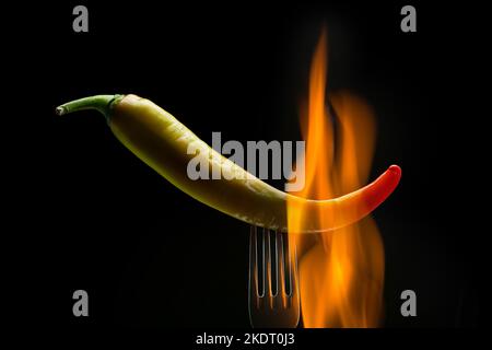 Burning hot pepper on the fork. Black background. Stock Photo