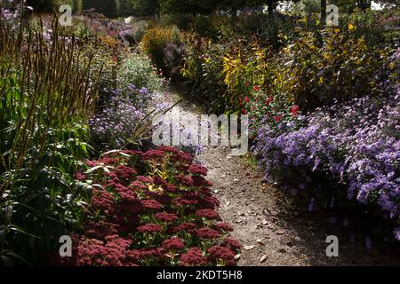 Early Autumn colourful garden boarders in english garden Stock Photo
