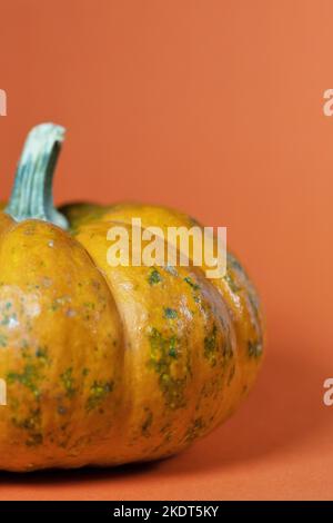 A small pumpkin with copy space. Stock Photo