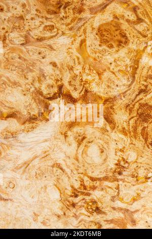 Macro photography of a stabilized wooden block with a color dye, The texture of a decorative wood Acer, maples, Natural wood pattern, Natural wood tex Stock Photo