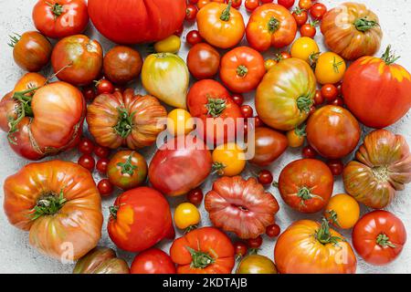 Variety of organic untreated multicolored tomatoes on a light background, grow your own food and harvest conception Stock Photo