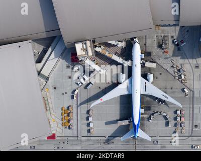 All Nippon Airways Boeing 777 aircraft parked at Tom Bradley International Terminal TBIT. Airplane 777-300ER of All Nippon, ANA registered as JA791A. Stock Photo