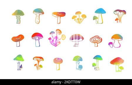 Set of different colorful, mushrooms . Vector illustration Stock Vector