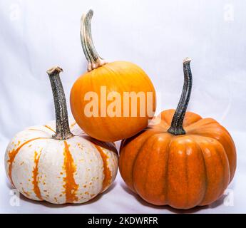 Three different sized pumpkins together on a white background Stock Photo