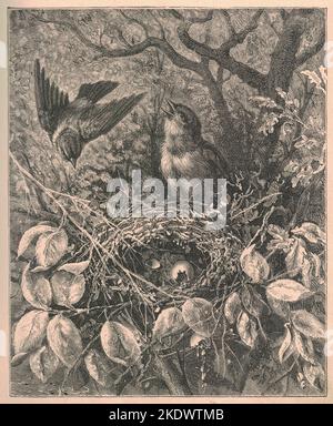 Black & white antique illustration shows birds in nature. Vintage illustration shows birds and nest. Old picture from fairy tale book. Storybook illustration published 1910. A fairy tale, fairytale, wonder tale, magic tale, fairy story or Marchen is an instance of folklore genre that takes the form of a short story. Such stories typically feature mythical entities such as dwarfs, dragons, elves, fairies and Peris, giants, Divs, gnomes, goblins, griffins, mermaids, talking animals, trolls, unicorns, or witches, and usually magic or enchantments. Stock Photo