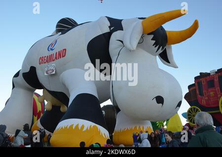 Creamland Cow Hot Air Balloon at Albuquerque international Balloon Fiesta Stock Photo