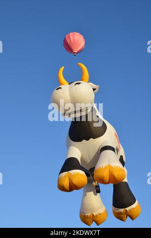 Creamland Cow Hot Air Balloon at Albuquerque international Balloon Fiesta Stock Photo