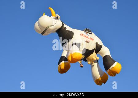 Creamland Cow Hot Air Balloon at Albuquerque international Balloon Fiesta Stock Photo