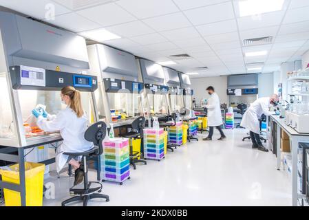 Cancer research laboratory Stock Photo