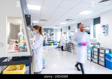 Cancer research laboratory Stock Photo