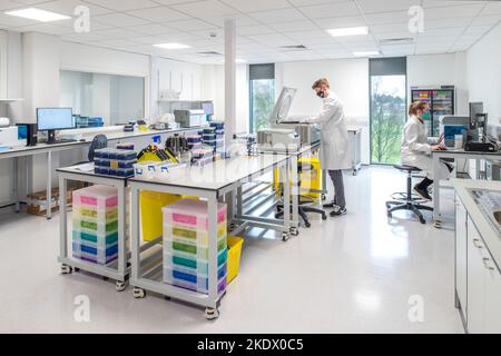Researchers working in a laboratory Stock Photo