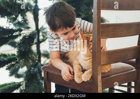 Cute little boy with brunette hair taking a break from decorating the house for Christmas to pet his cat sitting on a wooden chair near the Christmas Stock Photo