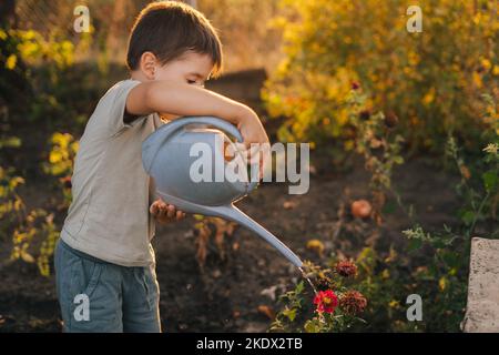 Adorable little boy watering plants with watering can in the garden, helping parents to maintain the plants and having fun. Activities with children Stock Photo