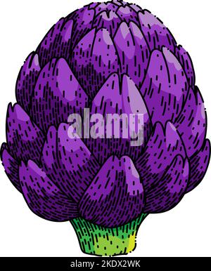 artichoke purple sketch hand drawn vector Stock Vector