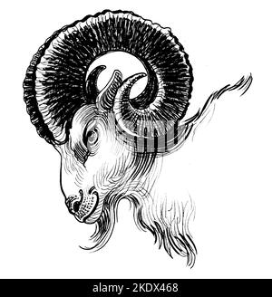 Ram head. Ink black and white drawing Stock Photo - Alamy