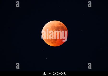 Tokyo, Japan. 8th Nov, 2022. The moon is seen during a total lunar eclipse from Roppongi Hills Mori Tower in Tokyo, Japan, on Nov. 8, 2022. Credit: Wei Ran/Xinhua/Alamy Live News Stock Photo