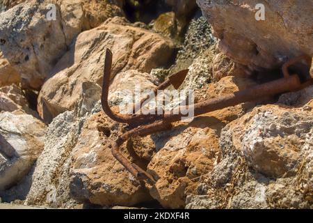 Rusty Old Anchor deserted on the rocks . Stock Image. Stock Photo