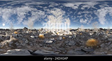 360 degree full panorama environment map of dry landscape landscape with grass and stones sunset evening mood 3d render illustration hdri hdr vr Stock Photo