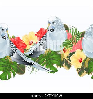Tropical border seamless background Budgerigar, blue pet parakeet  and hibiscus vector Illustration for use in interior design, artwork, dishes, cloth Stock Vector