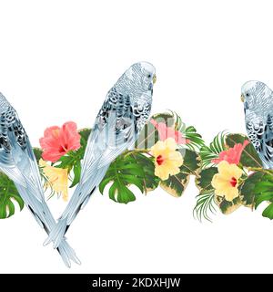 Tropical border seamless background Budgerigar, blue pet parakeet  and various hibiscus vector Illustration for use in interior design, artwork, dishe Stock Vector