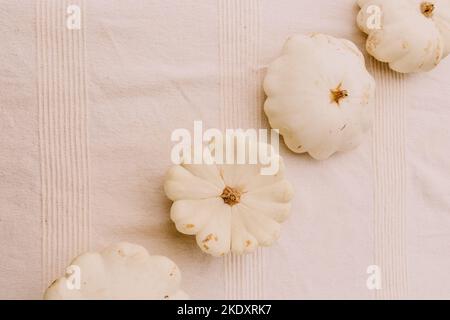 Top view of ripe fresh picked squashes arranged on white cotton clean fabric Stock Photo