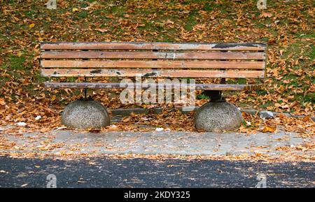 Oval bench, empty bench among fallen leaves in autumn. Recreation area in the forest. horizontal noise photo. No people, nobody. Stock Photo