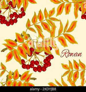 Seamless texture Autumn branch of rowan leaves and berries summer theme isolated on white vintage vector illustration editable hand draw Stock Vector