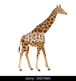 Vector flat hand drawn giraffe isolated on white background Stock Vector