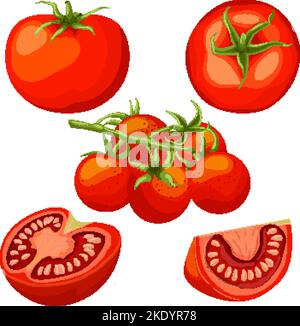 tomato red set cartoon vector illustration Stock Vector