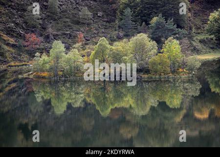 Autumn, Colours Reflected in the Étang de Lers, Ariège, Pyrenees, France, EU Stock Photo