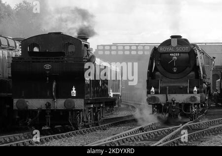 'Duchess of Sutherland' on shed with '47406' at Barrow Hill. Stock Photo