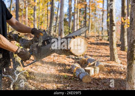 Following a violent storm, a municipal worker cuts down a broken tree in forest Stock Photo