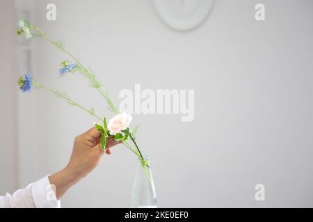 A selective focus shot of a human hand putting flowers in a glass vase isolated on white background Stock Photo