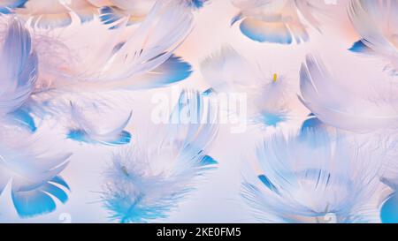 White feathers in colored light with shadows on a white background Stock Photo