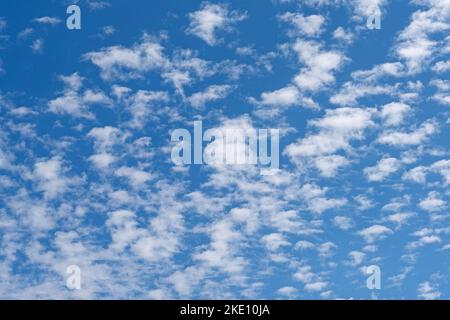 Small fleecy clouds, cirrocumulus, against a blue sky Stock Photo