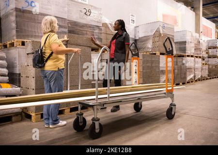 Female customer near cart talking with sales staff at hardware store Stock Photo