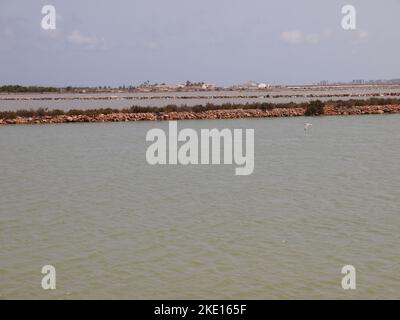 Regional Reserve of las Salinas y Arenales de San Pedro del Pinatar (Region of Murcia, Kingdom of Spain) Stock Photo