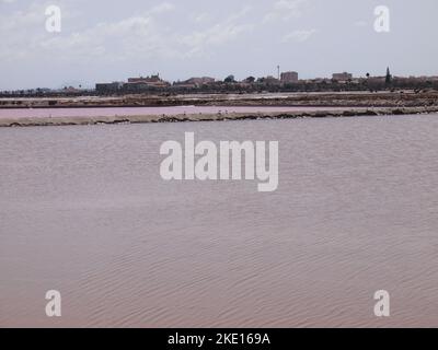 Regional Reserve of las Salinas y Arenales de San Pedro del Pinatar (Region of Murcia, Kingdom of Spain) Stock Photo