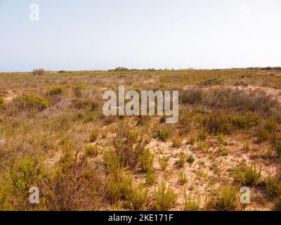 Regional Reserve of las Salinas y Arenales de San Pedro del Pinatar (Region of Murcia, Kingdom of Spain) Stock Photo