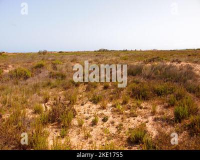 Regional Reserve of las Salinas y Arenales de San Pedro del Pinatar (Region of Murcia, Kingdom of Spain) Stock Photo