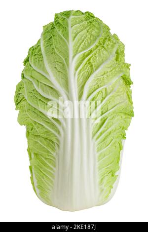 Napa cabbage or chinese cabbage isolated on white background Stock Photo