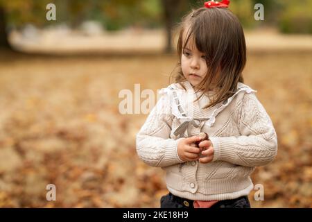 Close up moody photo of an adorable 3 year old sweet little girl focusing on collecting conkers and playing with them under a horse chestnut tree in t Stock Photo