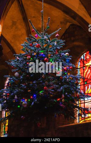 SELESTAT, FRANCE - DECEMBER 20, 2015: Hanging decorated Christmas trees in St. George's Church. Stock Photo