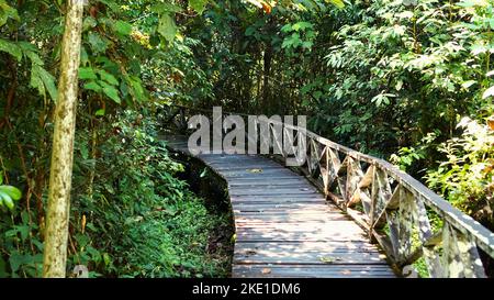 A wooden pathway with vegetation on the Entrance to Niah Cave of Niah national park in Miri city Stock Photo