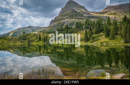 the Colbricon lakes in summer with the mountain reflected on the water - Lagorai chain, Trento province,Trentino Alto Adige, northern Italy - Europe - Stock Photo