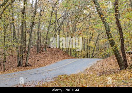 Simple two lane road, running through the woods in Amagansett, NY Stock Photo