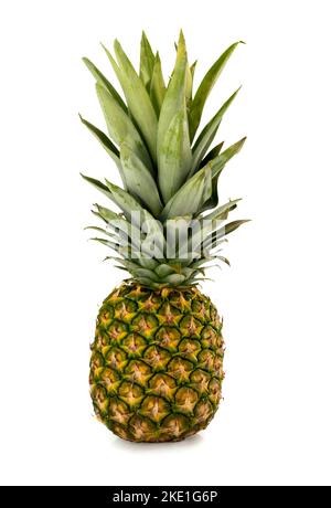Pineapple fruit isolated on white, clipping path Stock Photo