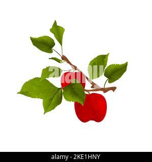 Branch apple tree with red apples and leaves on white autumn background watercolor vitage vector  illustration editable hand draw Stock Vector