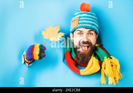 Happy bearded man in hat and scarf with maple leaf in hand looking through hole. Autumn mood. Stock Photo
