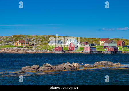 Houses and stages overlooking the harbour, Tilting, Newfoundland and Labrador NL, Canada Stock Photo